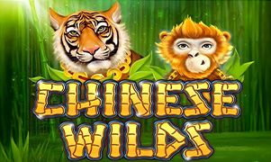 qh88 Chinese Wilds
